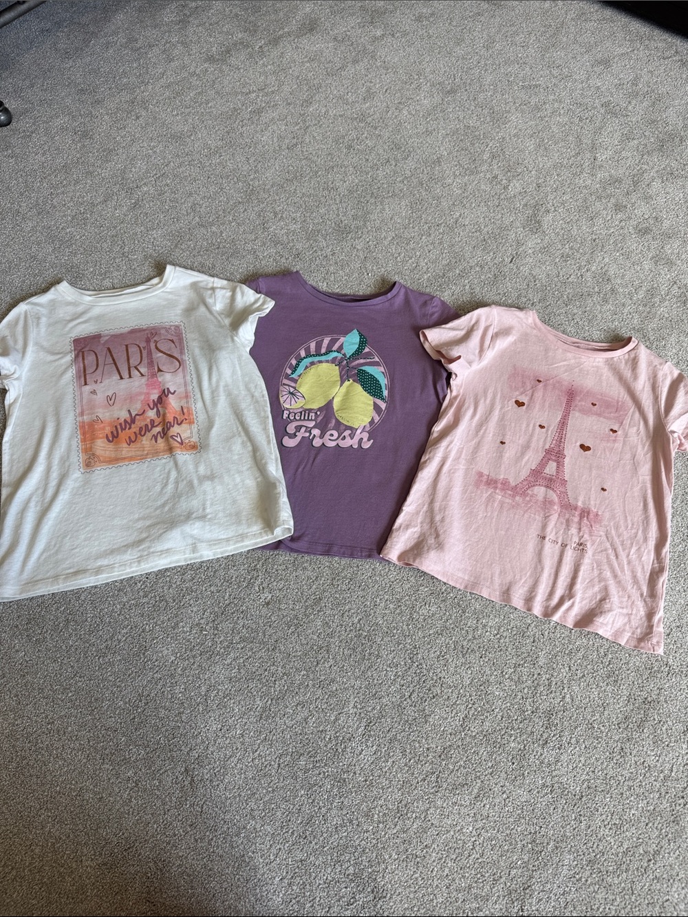Oshkosh Girls Shirt Bundle